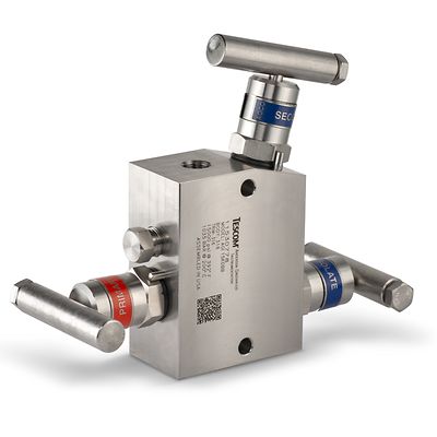 Tescom-P-AGI H2 Valve Series